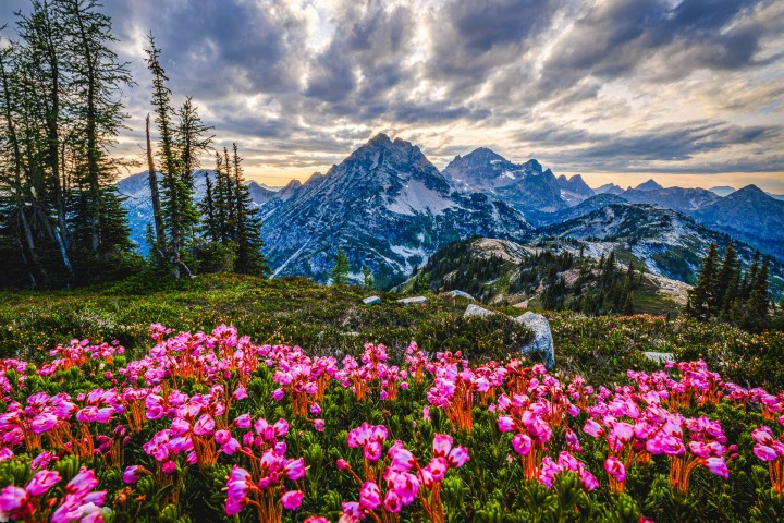 2025_0804_192819-2648_AGP_HDR-Edit
