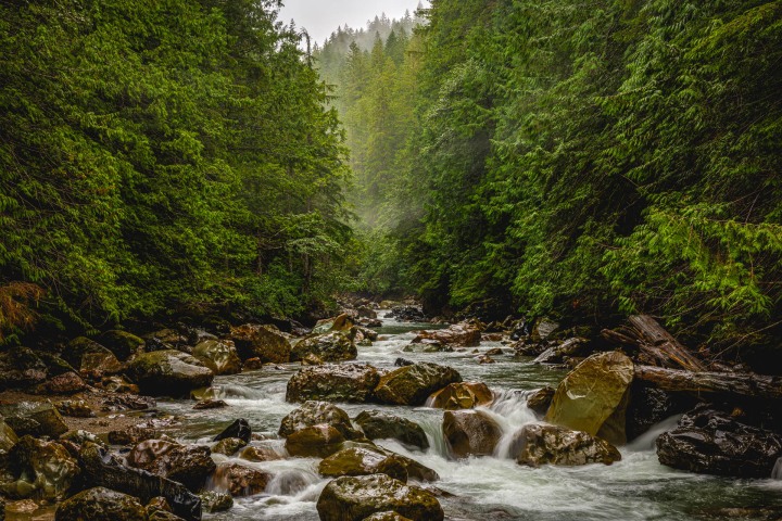 2025_0806_124844-4949_AGP_HDR