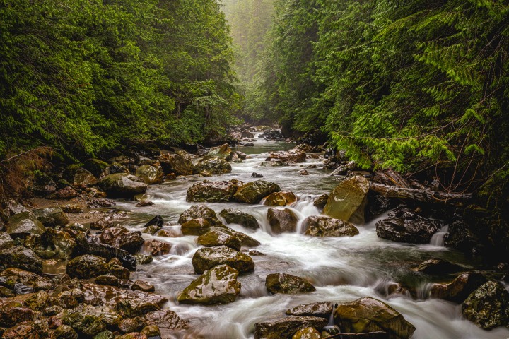 2025_0806_125434-4988_AGP_HDR