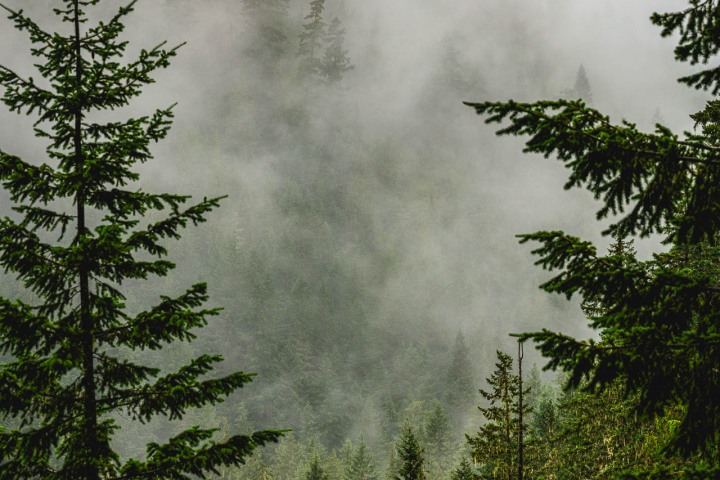 2025_0806_130408-5051_AGP_HDR