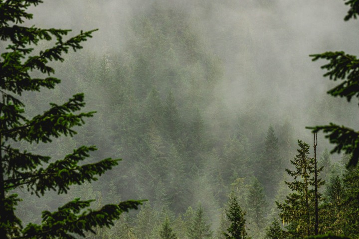 2025_0806_130414-5057_AGP_HDR