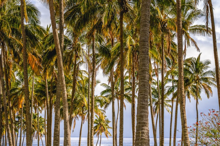 2025_1015_111204-3308_AGP_HDR