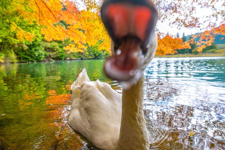 2025_1103_114441-8372_AGP