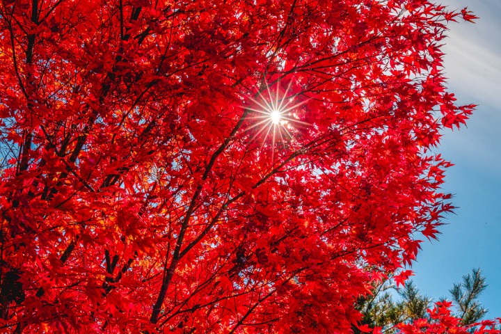 2025_1104_110749-0690_AGP_HDR