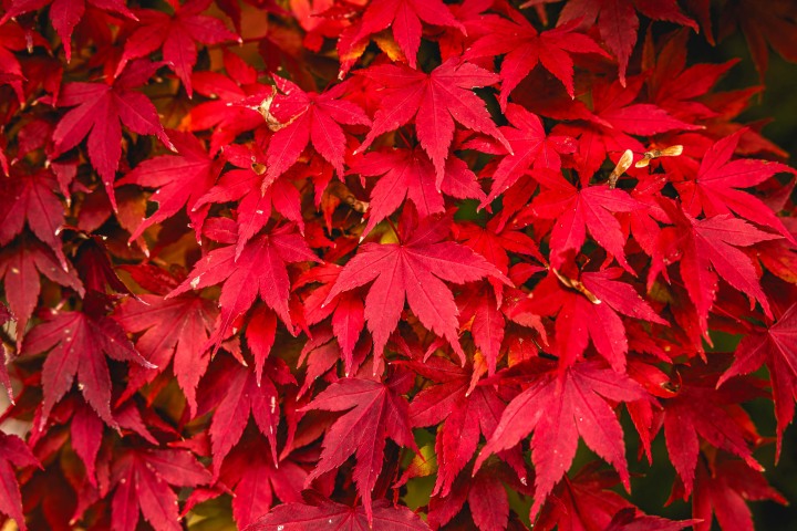 2025_1105_100619-1334_AGP_HDR