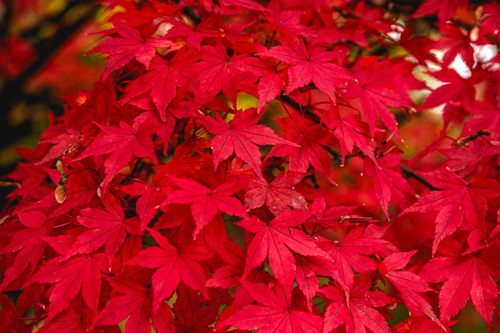 2025_1105_100638-1349_AGP_HDR