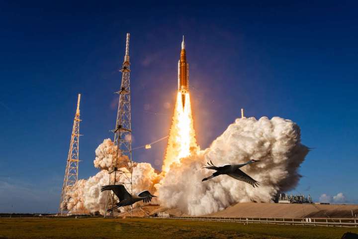 NASAs Artemis II launches crew to the moon. The crew includes Commander Reid Wiseman (USA), Pilot Victor Glover (USA), Mission Specialist Christina Koch (USA), and Mission Specialist Jeremy Hansen (Canada)